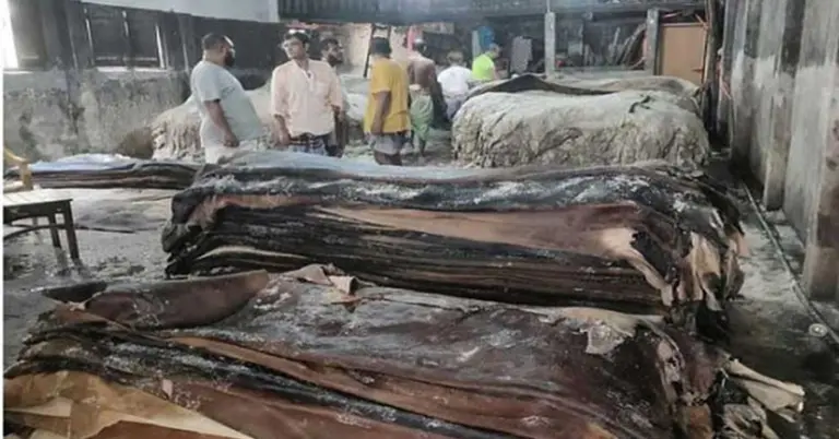 চট্টগ্রামের আড়তগুলোতে কুরবানির পশুর কাঁচা চামড়া বিক্রি শুরু